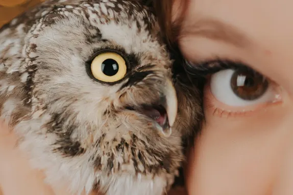 Paradise Cazino Cazinou Suport